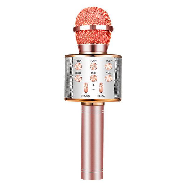 Nolae - Bluetooth Karaoke Microphone