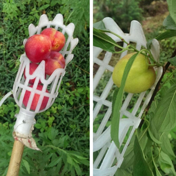 Fruit Picker & Catcher Garden Tool
