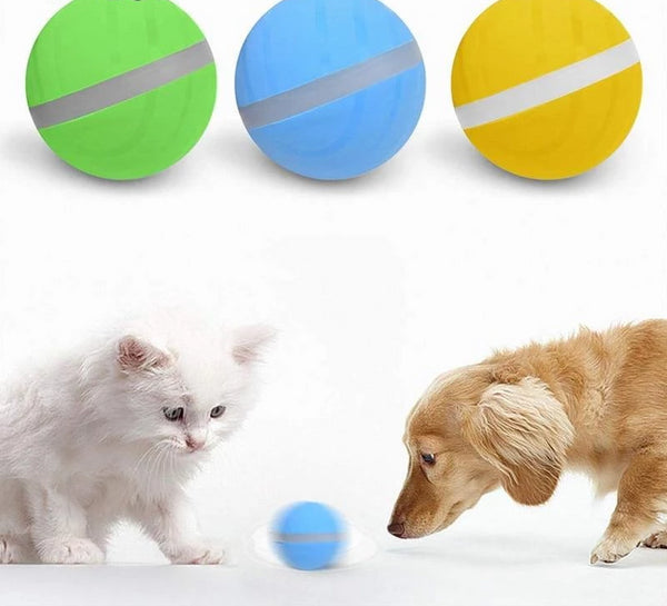 AutoPlay - Interactive Rolling Pet Toy