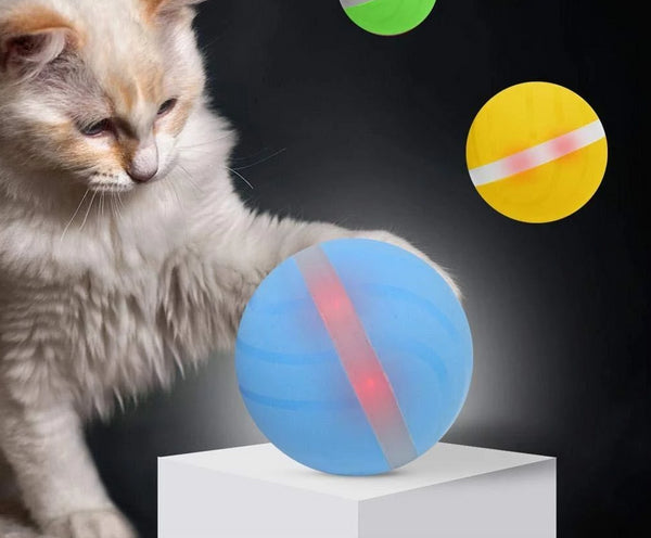 AutoPlay - Interactive Rolling Pet Toy