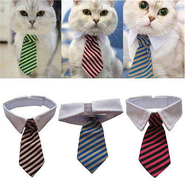 Sugar & Cotton's Famous Pet Neckties - For Cats & Dogs