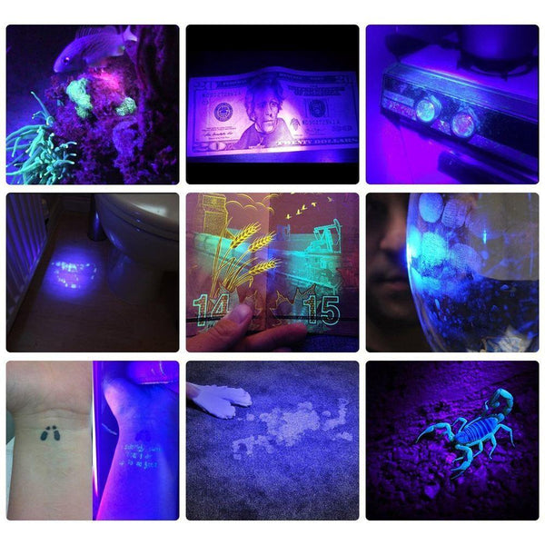HiLight - LED UV Detection Flash Light