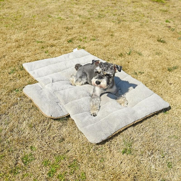 Evie - Foldable Travel Pet Bed