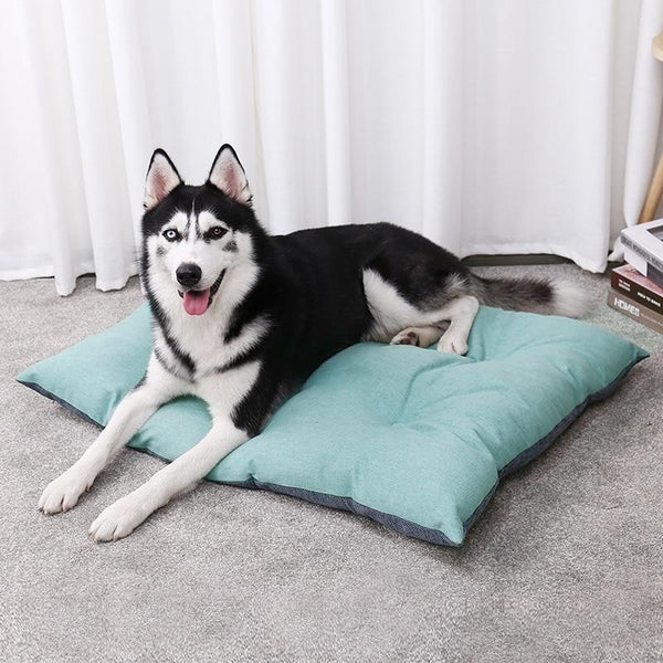 Cooper - Luxury Cushion Pet Bed