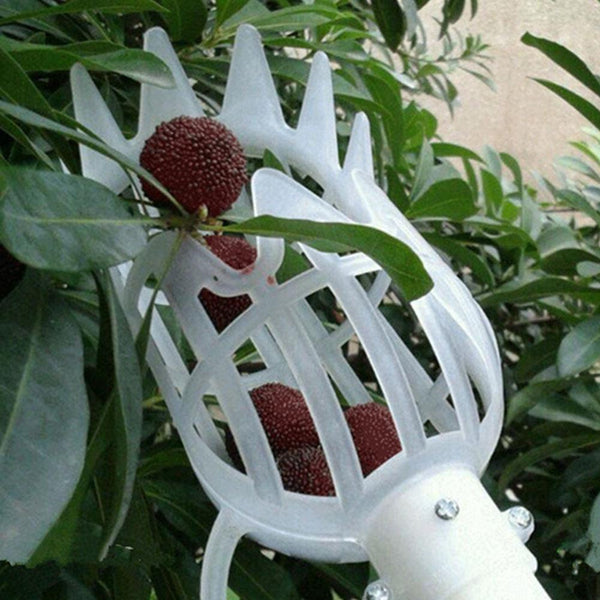 Fruit Picker & Catcher Garden Tool