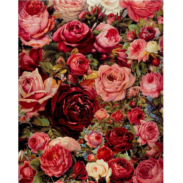 Rose Universe - Van-Go Paint-By-Number Kit