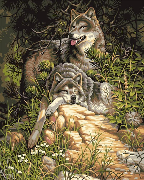 Lounging Wolves - Van-Go Paint-By-Number Kit